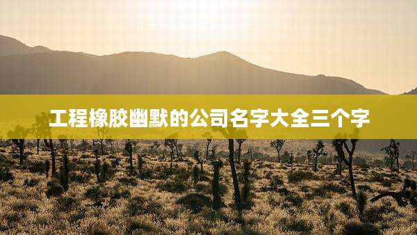 工程橡胶幽默的公司名字大全三个字