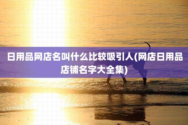 日用品网店名叫什么比较吸引人(网店日用品店铺名字大全集)
