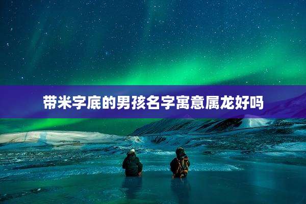 带米字底的男孩名字寓意属龙好吗