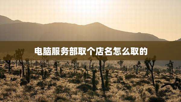 电脑服务部取个店名怎么取的