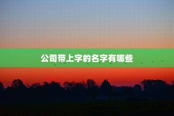 公司带上字的名字有哪些