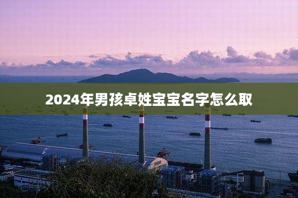 2024年男孩卓姓宝宝名字怎么取