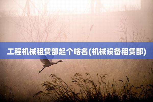 工程机械租赁部起个啥名(机械设备租赁部)