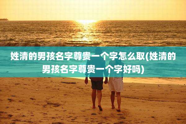 姓清的男孩名字尊贵一个字怎么取(姓清的男孩名字尊贵一个字好吗)