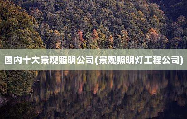 国内十大景观照明公司(景观照明灯工程公司)