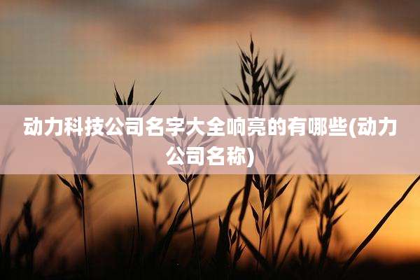 动力科技公司名字大全响亮的有哪些(动力公司名称)