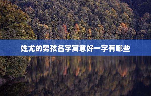姓尤的男孩名字寓意好一字有哪些