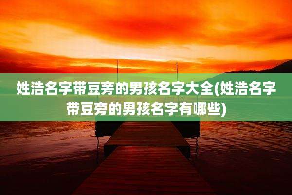 姓浩名字带豆旁的男孩名字大全(姓浩名字带豆旁的男孩名字有哪些)
