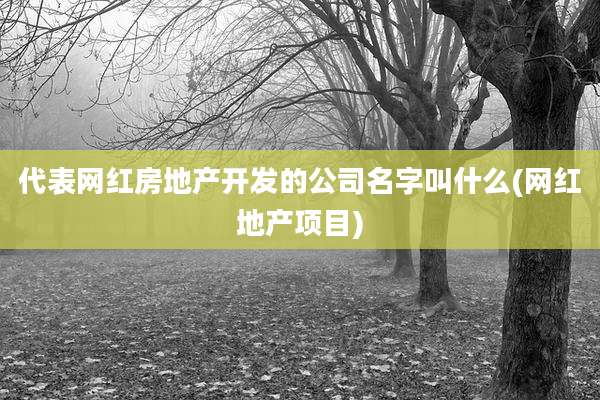 代表网红房地产开发的公司名字叫什么(网红地产项目)