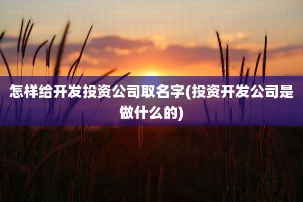 怎样给开发投资公司取名字(投资开发公司是做什么的)