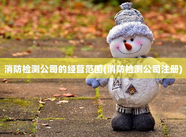 消防检测公司的经营范围(消防检测公司注册)