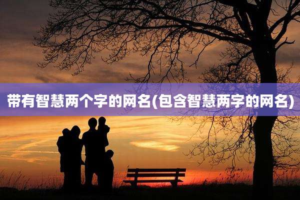 带有智慧两个字的网名(包含智慧两字的网名)