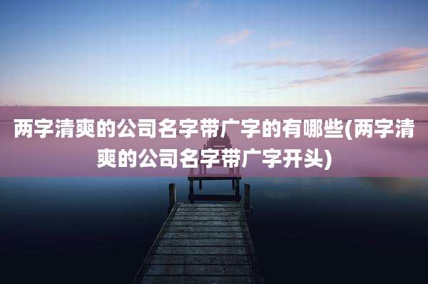 两字清爽的公司名字带广字的有哪些(两字清爽的公司名字带广字开头)