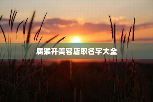 属猴开美容店取名字大全