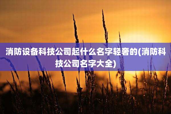 消防设备科技公司起什么名字轻奢的(消防科技公司名字大全)