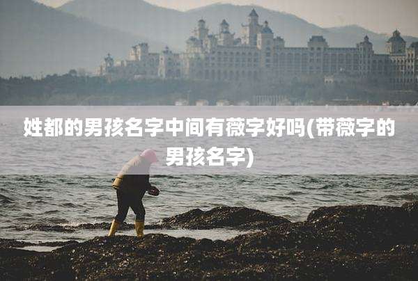 姓都的男孩名字中间有薇字好吗(带薇字的男孩名字)