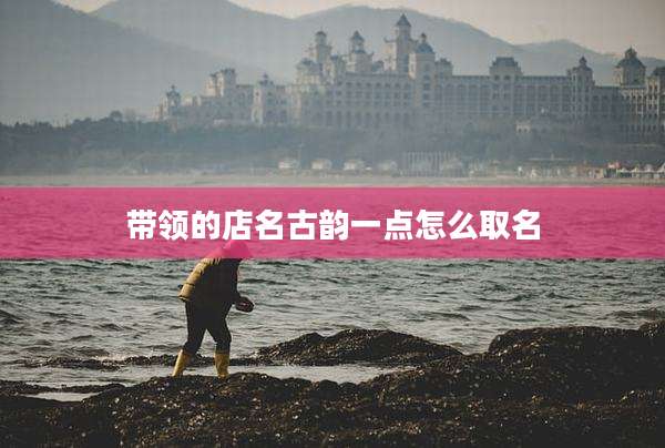 带领的店名古韵一点怎么取名