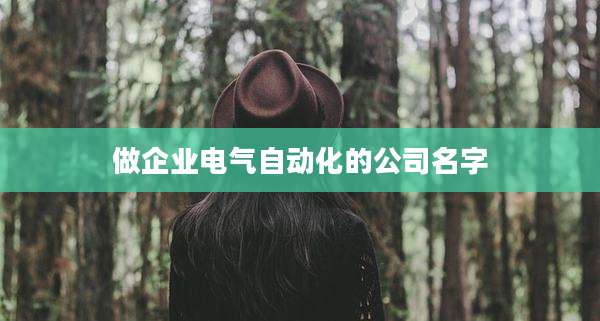 做企业电气自动化的公司名字