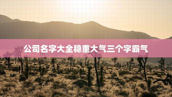 公司名字大全稳重大气三个字霸气