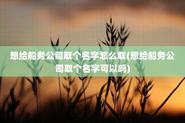 想给船务公司取个名字怎么取(想给船务公司取个名字可以吗)