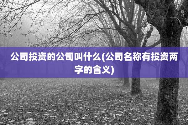 公司投资的公司叫什么(公司名称有投资两字的含义)