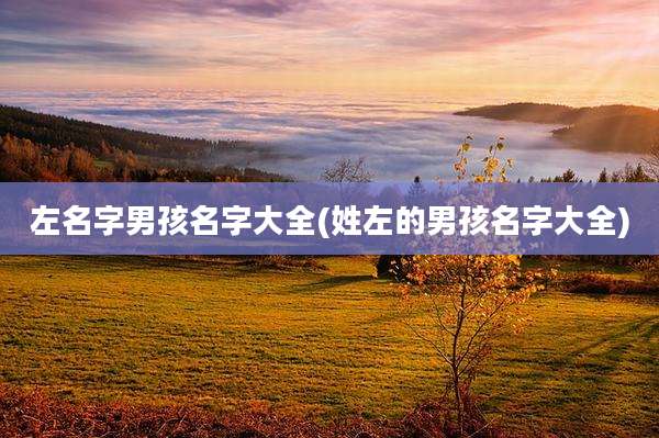 左名字男孩名字大全(姓左的男孩名字大全)