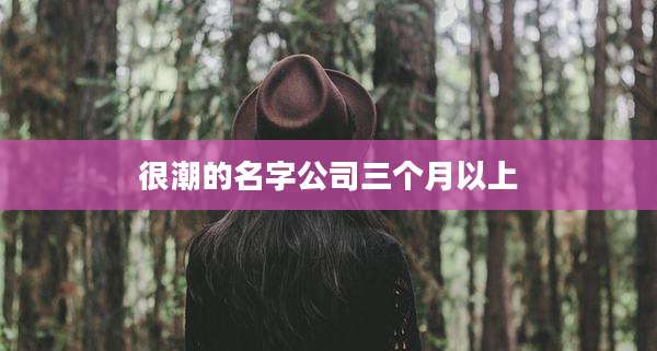 很潮的名字公司三个月以上