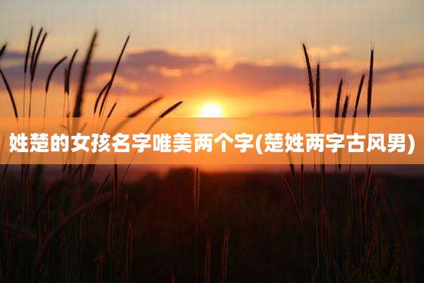 姓楚的女孩名字唯美两个字(楚姓两字古风男)