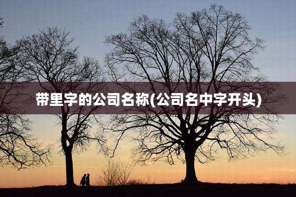 带里字的公司名称(公司名中字开头)