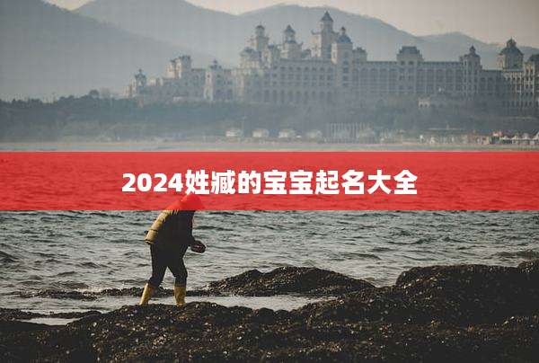2024姓臧的宝宝起名大全