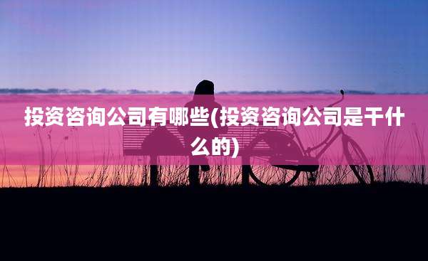 投资咨询公司有哪些(投资咨询公司是干什么的)