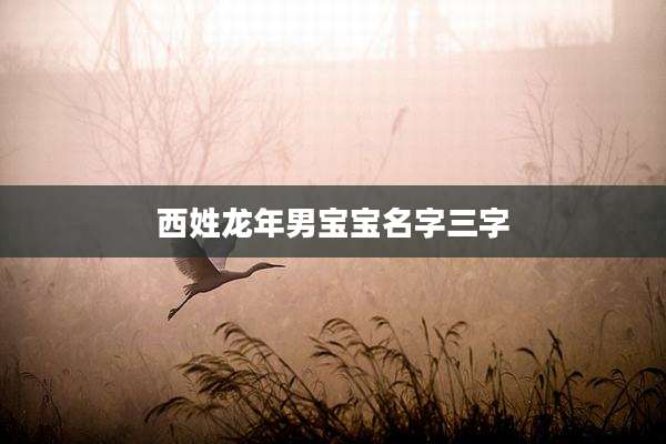 西姓龙年男宝宝名字三字