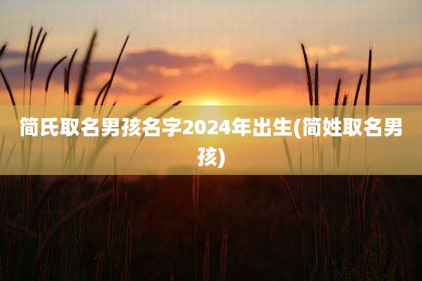 简氏取名男孩名字2024年出生(简姓取名男孩)