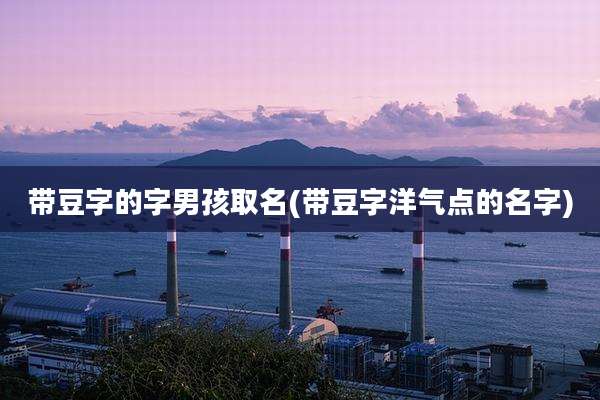 带豆字的字男孩取名(带豆字洋气点的名字)
