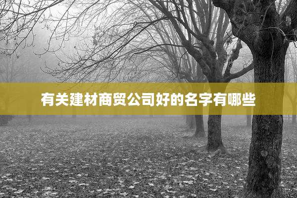 有关建材商贸公司好的名字有哪些