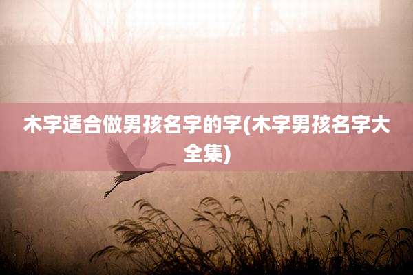 木字适合做男孩名字的字(木字男孩名字大全集)