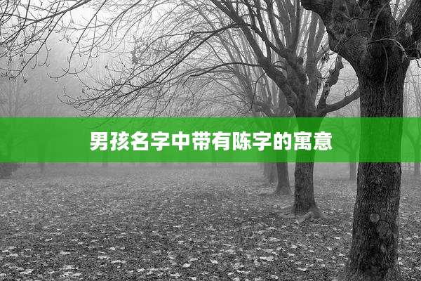 男孩名字中带有陈字的寓意