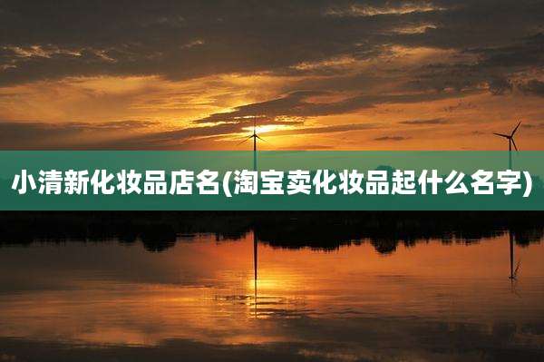 小清新化妆品店名(淘宝卖化妆品起什么名字)