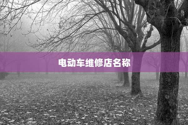 电动车维修店名称
