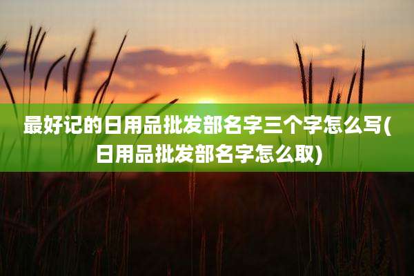 最好记的日用品批发部名字三个字怎么写(日用品批发部名字怎么取)
