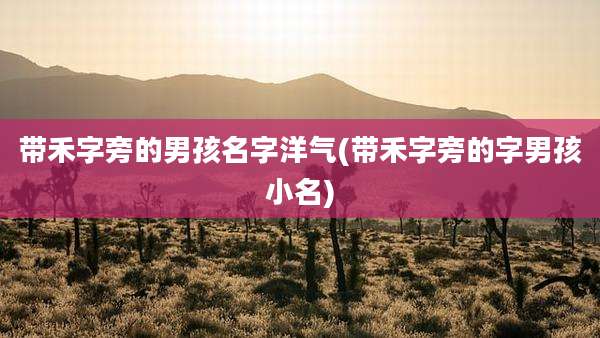 带禾字旁的男孩名字洋气(带禾字旁的字男孩小名)