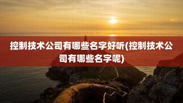 控制技术公司有哪些名字好听(控制技术公司有哪些名字呢)