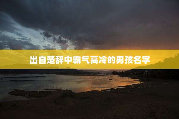 出自楚辞中霸气高冷的男孩名字