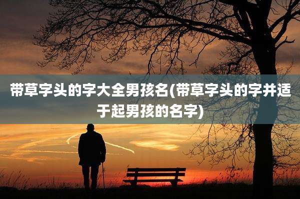 带草字头的字大全男孩名(带草字头的字并适于起男孩的名字)