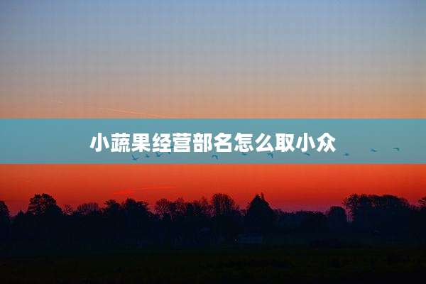 小蔬果经营部名怎么取小众