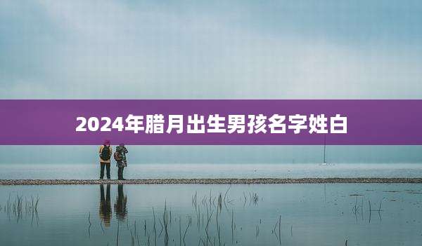2024年腊月出生男孩名字姓白