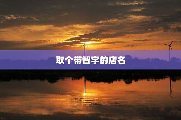 取个带智字的店名