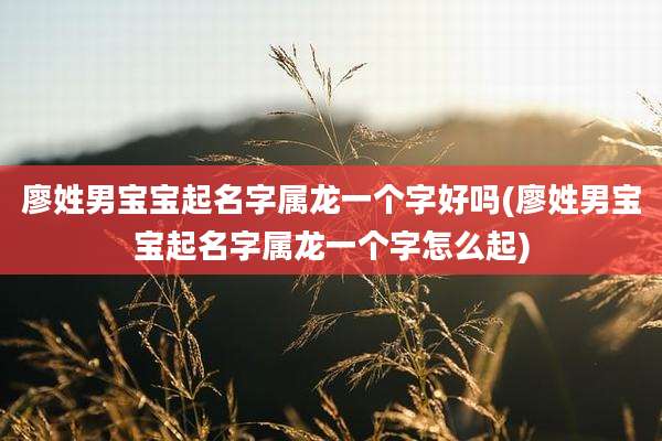 廖姓男宝宝起名字属龙一个字好吗(廖姓男宝宝起名字属龙一个字怎么起)