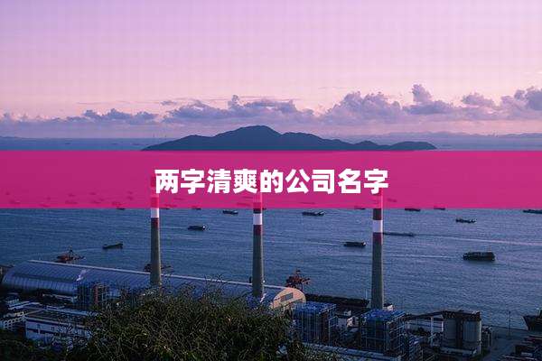 两字清爽的公司名字