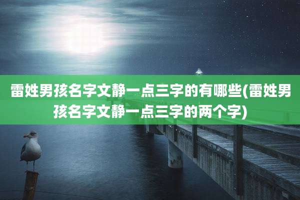 雷姓男孩名字文静一点三字的有哪些(雷姓男孩名字文静一点三字的两个字)